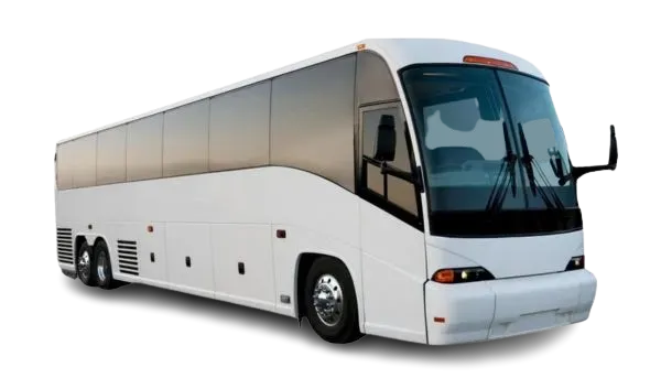 Limo Bus